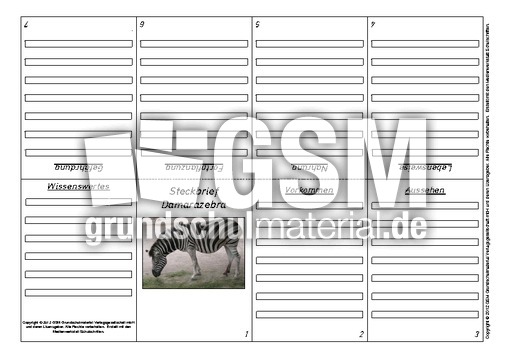 Faltbuch-Steckbrief-Damarazebra-1.pdf